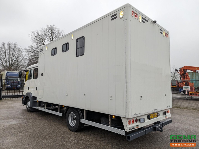 MAN TGL 12.180 4x2 DoKa 7 pers. Euro5 EEV - Paardenwagen 2-Paards - 147.000km! - MARGE - Auto na přepravu koní: obrázek 4 MAN TGL 12.180 4x2 DoKa 7 pers. Euro5 EEV - Paardenwagen 2-Paards - 147.000km! - MARGE - Auto na přepravu koní: obrázek 4