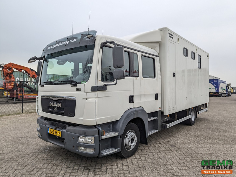 MAN TGL 12.180 4x2 DoKa 7 pers. Euro5 EEV - Paardenwagen 2-Paards - 147.000km! - MARGE - Auto na přepravu koní: obrázek 3 MAN TGL 12.180 4x2 DoKa 7 pers. Euro5 EEV - Paardenwagen 2-Paards - 147.000km! - MARGE - Auto na přepravu koní: obrázek 3