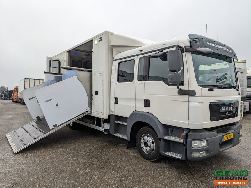 MAN TGL 12.180 4x2 DoKa 7 pers. Euro5 EEV - Paardenwagen 2-Paards - 147.000km! - MARGE - Auto na přepravu koní: obrázek 1 MAN TGL 12.180 4x2 DoKa 7 pers. Euro5 EEV - Paardenwagen 2-Paards - 147.000km! - MARGE - Auto na přepravu koní: obrázek 1