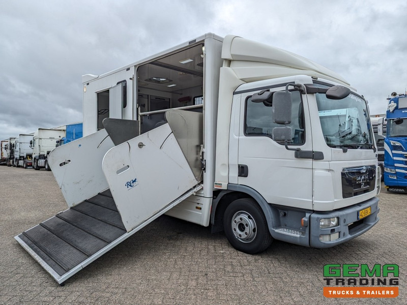 MAN TGL 12.250 4x2 Euro5 EEV RC HorseTruck - 2a3 Paards - 135.000km - MARGE (V821) - Auto na přepravu koní: obrázek 3 MAN TGL 12.250 4x2 Euro5 EEV RC HorseTruck - 2a3 Paards - 135.000km - MARGE (V821) - Auto na přepravu koní: obrázek 3