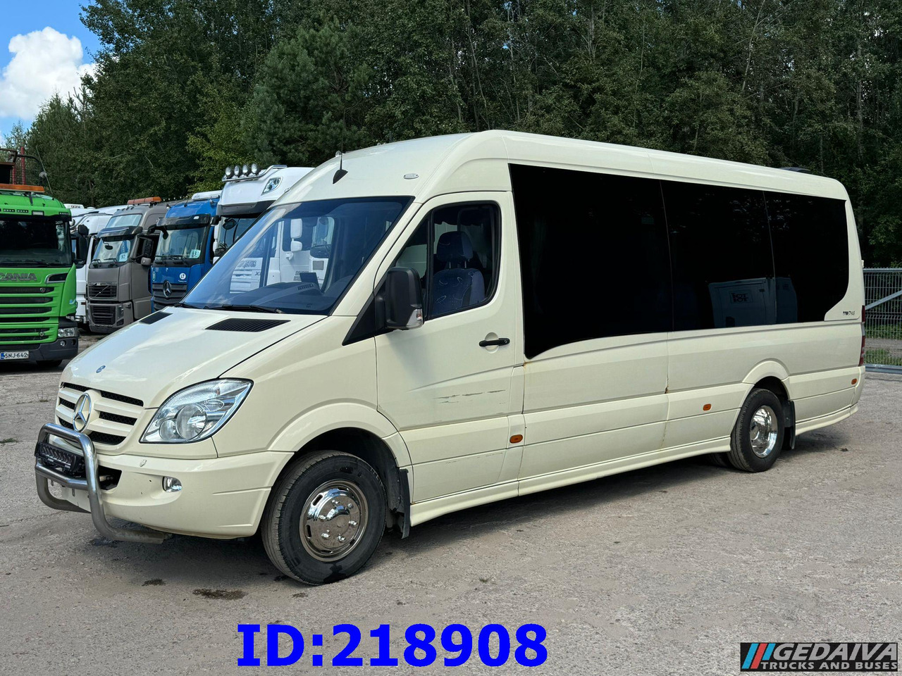MERCEDES-BENZ Sprinter 519 VIP 18-Place Prostyle Euro5 - Turistický autobus: obrázek 1 MERCEDES-BENZ Sprinter 519 VIP 18-Place Prostyle Euro5 - Turistický autobus: obrázek 1