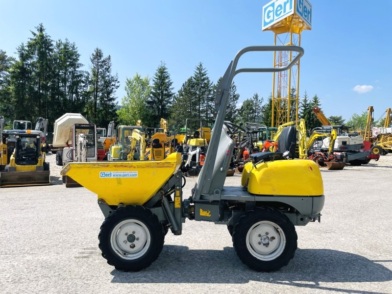 Neuson 1001 (3631) - Mini-sklápěčka: obrázek 1 Neuson 1001 (3631) - Mini-sklápěčka: obrázek 1