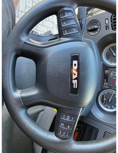 Skříňový nákladní auto DAF LF220: obrázek 16