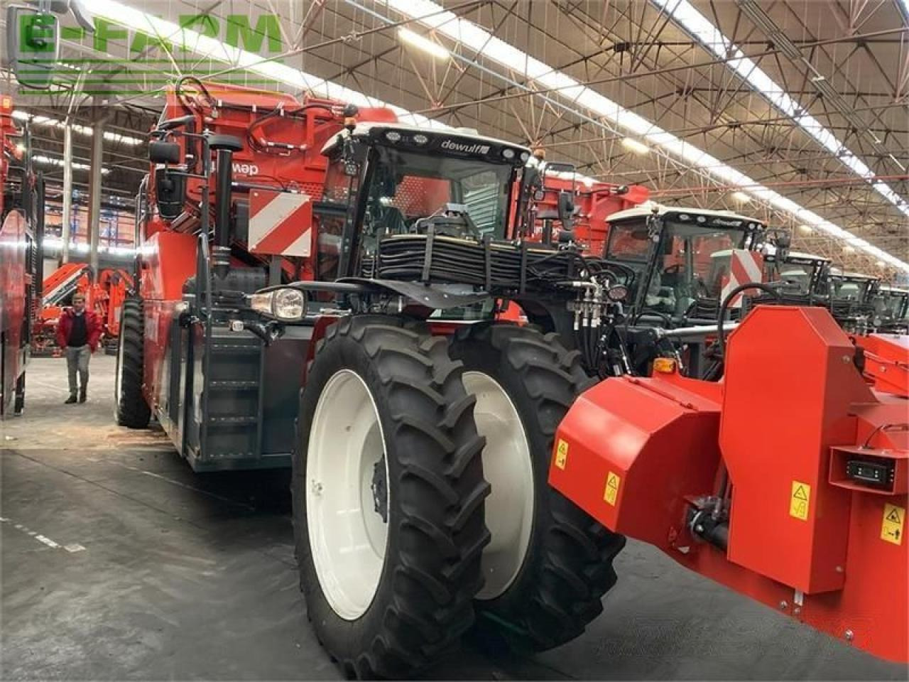 Dewulf rqa3060 demomaskine - Bramborový kombajn: obrázek 5 Dewulf rqa3060 demomaskine - Bramborový kombajn: obrázek 5