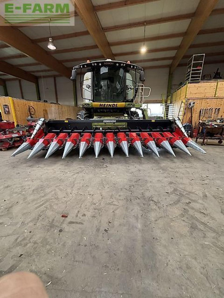 Dominoni maispflücker 12 reiher, 50 cm - Příslušenství pro sklízecí řezačky: obrázek 2 Dominoni maispflücker 12 reiher, 50 cm - Příslušenství pro sklízecí řezačky: obrázek 2