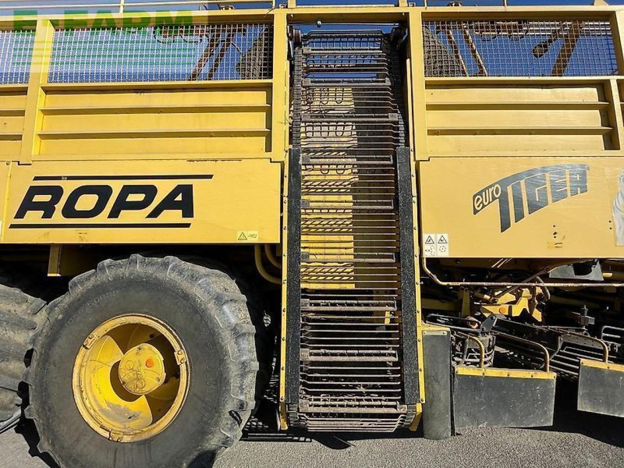 Sklízeč cukrové řepy Ropa euro tiger: obrázek 9
