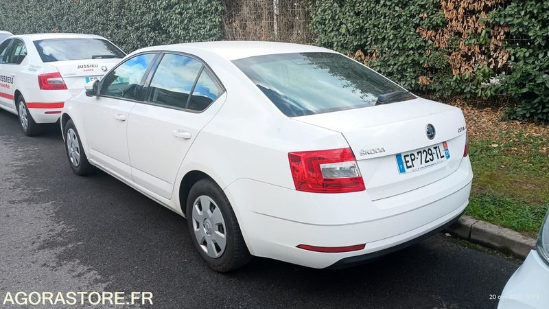 EP-729-TL - Non Roulant - SKODA OCTAVIA - VP -  349 390 Kms - Osobní auto: obrázek 3 EP-729-TL - Non Roulant - SKODA OCTAVIA - VP -  349 390 Kms - Osobní auto: obrázek 3