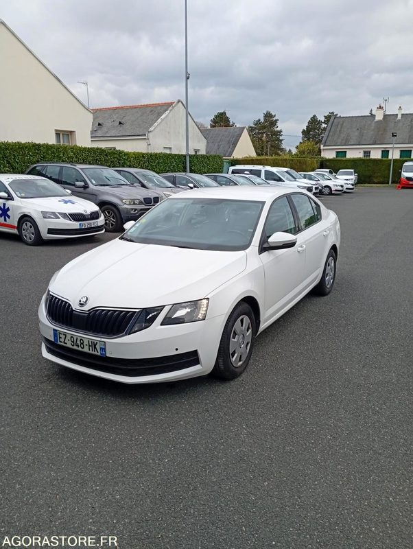 EZ-948-HK - Roulant - SKODA OCTAVIA - VP - 431 000 Kms - Osobní auto: obrázek 1 EZ-948-HK - Roulant - SKODA OCTAVIA - VP - 431 000 Kms - Osobní auto: obrázek 1