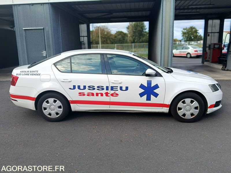 FB-732-ZZ - Non Roulant - SKODA OCTAVIA - VP - 309 757 Kms - Osobní auto: obrázek 1 FB-732-ZZ - Non Roulant - SKODA OCTAVIA - VP - 309 757 Kms - Osobní auto: obrázek 1