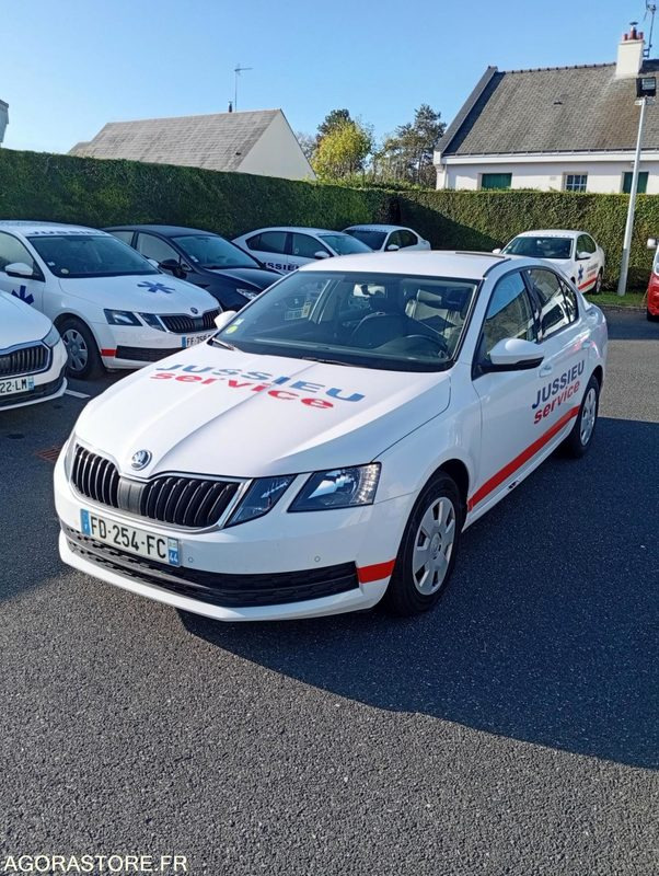 FD-254-FC - Non Roulant - SKODA OCTAVIA - VP - 387 000 Kms - Osobní auto: obrázek 1 FD-254-FC - Non Roulant - SKODA OCTAVIA - VP - 387 000 Kms - Osobní auto: obrázek 1