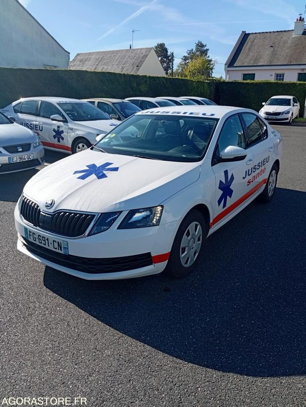 FG-691-CN - Roulant - SKODA Octavia - VP - 395 000 Kms - Osobní auto: obrázek 2 FG-691-CN - Roulant - SKODA Octavia - VP - 395 000 Kms - Osobní auto: obrázek 2
