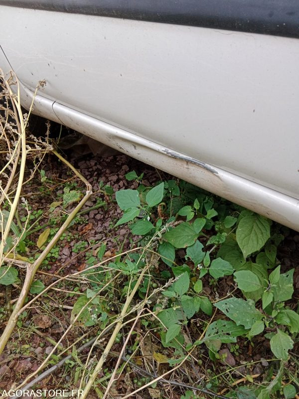 FIAT PANDA - Osobní auto: obrázek 5 FIAT PANDA - Osobní auto: obrázek 5