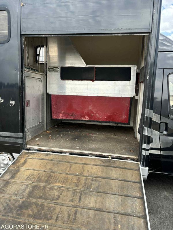 Fourgon FORD - Transport de 2 Chevaux - 2004 - 137 510 KM - Furgon: obrázek 3 Fourgon FORD - Transport de 2 Chevaux - 2004 - 137 510 KM - Furgon: obrázek 3