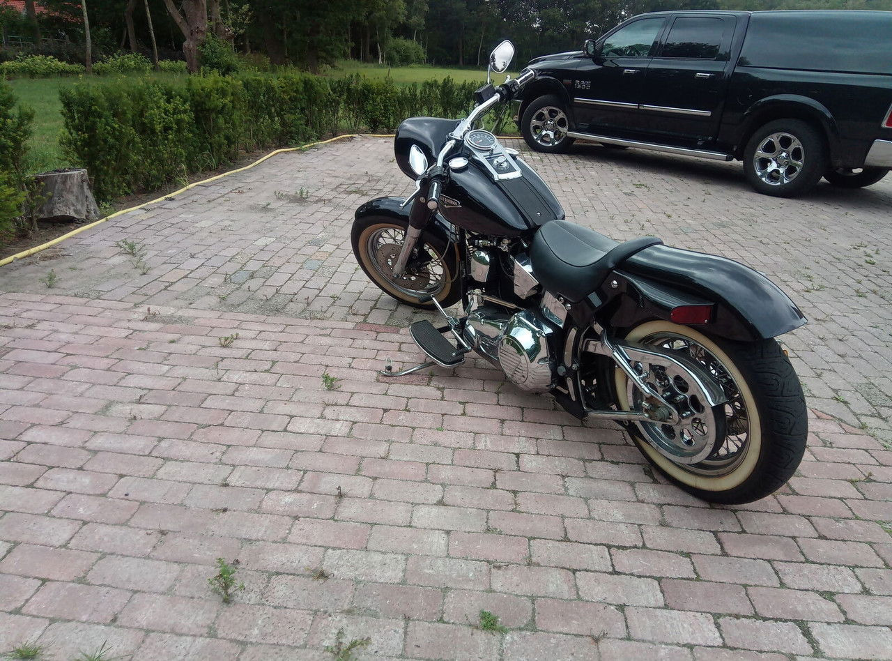 Harley-Davidson Custom Custom - Motocykl: obrázek 1 Harley-Davidson Custom Custom - Motocykl: obrázek 1