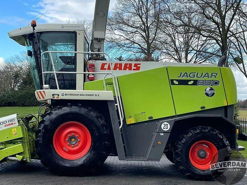 Claas Jaguar 830 492 - Sklízecí řezačka: obrázek 5 Claas Jaguar 830 492 - Sklízecí řezačka: obrázek 5
