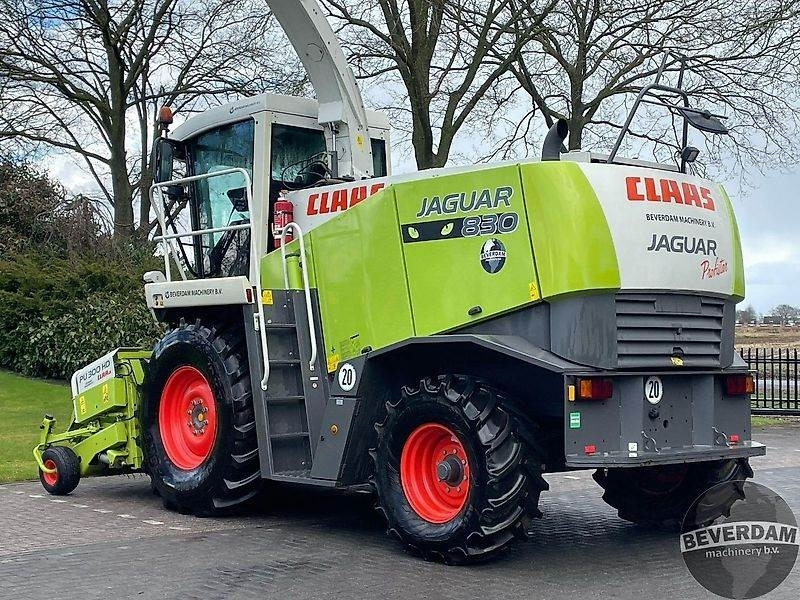 Claas Jaguar 830 492 - Sklízecí řezačka: obrázek 3 Claas Jaguar 830 492 - Sklízecí řezačka: obrázek 3