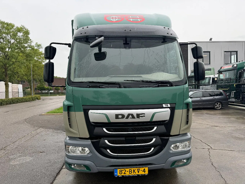 DAF LF 260 4X2 16T DHOLLANDIA LOAD LIFT - Plachtový nákladní auto: obrázek 2 DAF LF 260 4X2 16T DHOLLANDIA LOAD LIFT - Plachtový nákladní auto: obrázek 2