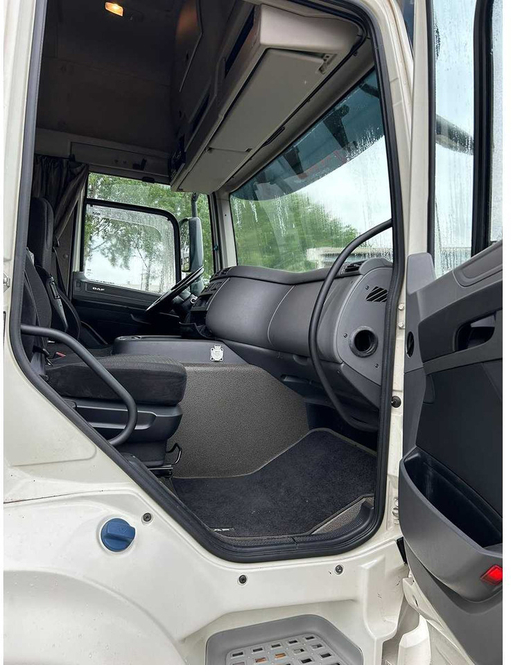 Nákladní auto DAF - CF 460 FT - TRUCK: obrázek 6