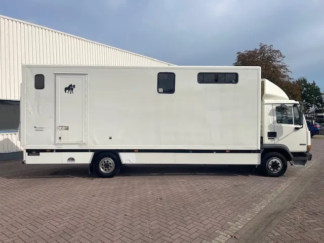 DAF LF 45.130 CLEAN HORSES NL-TRUCK - Auto na přepravu koní: obrázek 5 DAF LF 45.130 CLEAN HORSES NL-TRUCK - Auto na přepravu koní: obrázek 5