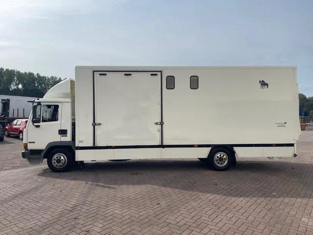 DAF LF 45.130 CLEAN HORSES NL-TRUCK - Auto na přepravu koní: obrázek 4 DAF LF 45.130 CLEAN HORSES NL-TRUCK - Auto na přepravu koní: obrázek 4