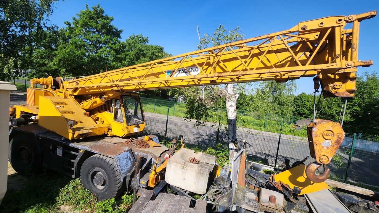 TADANO TR 250 E - Jeřáb: obrázek 1 TADANO TR 250 E - Jeřáb: obrázek 1