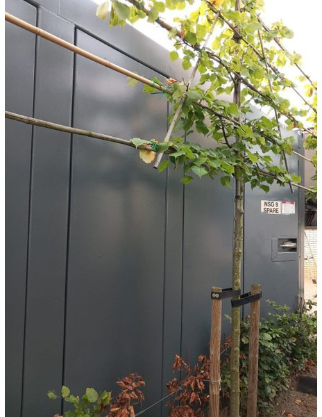 Elektrický generátor Cummins KTA 50-G2 Leroy Somer 1400 kVA generatorset in Silent container: obrázek 10