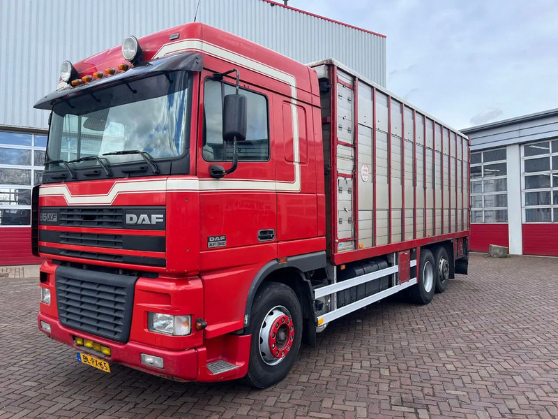 DAF XF FAR 95XF.380 EURO 2 - Přepravník zvířat: obrázek 1 DAF XF FAR 95XF.380 EURO 2 - Přepravník zvířat: obrázek 1