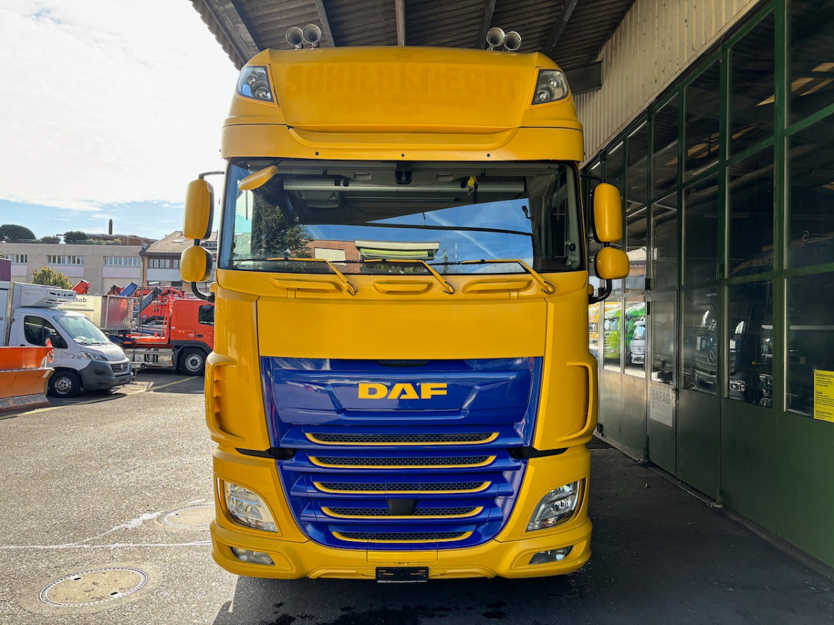 DAF FAN XF 530 LD 6x2 - Plachtový nákladní auto: obrázek 3 DAF FAN XF 530 LD 6x2 - Plachtový nákladní auto: obrázek 3