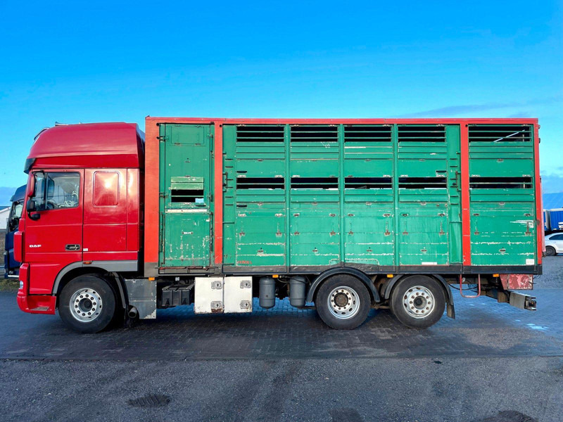 DAF XF 105.460 2-Stock Finkl Viehaufbau / Lenkachs - Přepravník zvířat: obrázek 5 DAF XF 105.460 2-Stock Finkl Viehaufbau / Lenkachs - Přepravník zvířat: obrázek 5