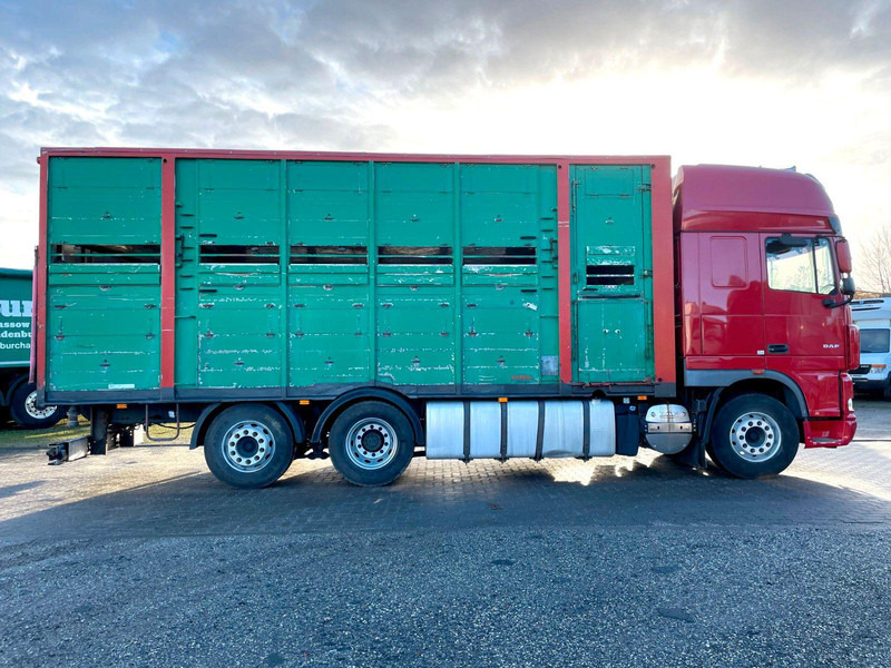 DAF XF 105.460 2-Stock Finkl Viehaufbau / Lenkachs - Přepravník zvířat: obrázek 4 DAF XF 105.460 2-Stock Finkl Viehaufbau / Lenkachs - Přepravník zvířat: obrázek 4