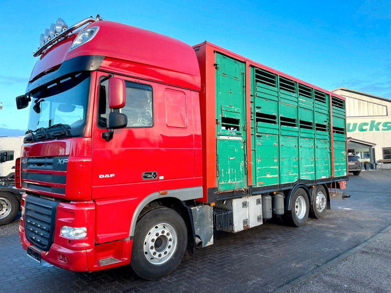 DAF XF 105.460 2-Stock Finkl Viehaufbau / Lenkachs - Přepravník zvířat: obrázek 2 DAF XF 105.460 2-Stock Finkl Viehaufbau / Lenkachs - Přepravník zvířat: obrázek 2