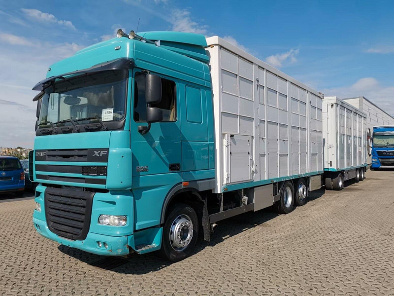 DAF XF 105.460 - Animal transporter + trailer - Přepravník zvířat: obrázek 1 DAF XF 105.460 - Animal transporter + trailer - Přepravník zvířat: obrázek 1