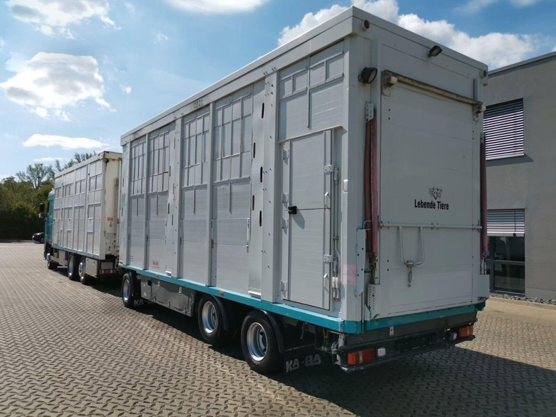 DAF XF 105.460 - Animal transporter + trailer - Přepravník zvířat: obrázek 4 DAF XF 105.460 - Animal transporter + trailer - Přepravník zvířat: obrázek 4