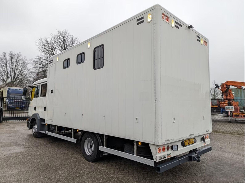 MAN TGL 12.180 - Doka Horse transporter - Auto na přepravu koní: obrázek 4 MAN TGL 12.180 - Doka Horse transporter - Auto na přepravu koní: obrázek 4