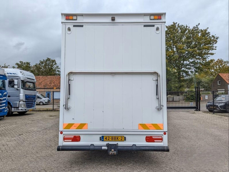 MAN TGL 12.250 - Horse transporter - Auto na přepravu koní: obrázek 4 MAN TGL 12.250 - Horse transporter - Auto na přepravu koní: obrázek 4