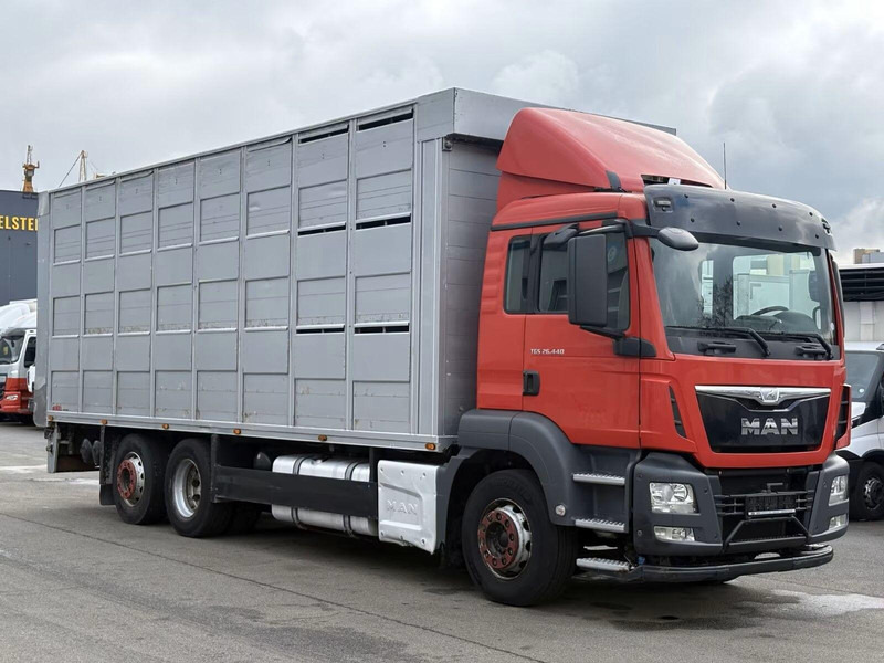MAN TGS 26.440 - Animal transporter - Přepravník zvířat: obrázek 2 MAN TGS 26.440 - Animal transporter - Přepravník zvířat: obrázek 2
