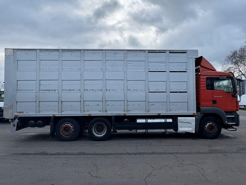 MAN TGS 26.440 - Animal transporter - Přepravník zvířat: obrázek 4 MAN TGS 26.440 - Animal transporter - Přepravník zvířat: obrázek 4