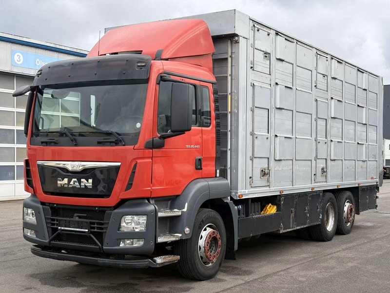 MAN TGS 26.440 - Animal transporter - Přepravník zvířat: obrázek 1 MAN TGS 26.440 - Animal transporter - Přepravník zvířat: obrázek 1