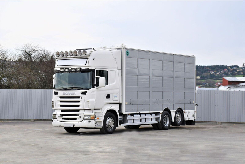 Scania R 500 - Přepravník zvířat: obrázek 1 Scania R 500 - Přepravník zvířat: obrázek 1