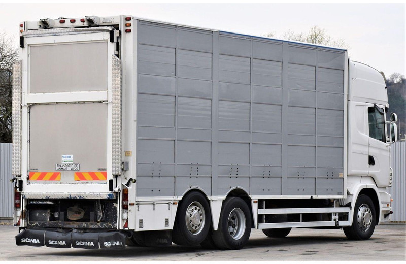 Scania R 500 - Přepravník zvířat: obrázek 5 Scania R 500 - Přepravník zvířat: obrázek 5
