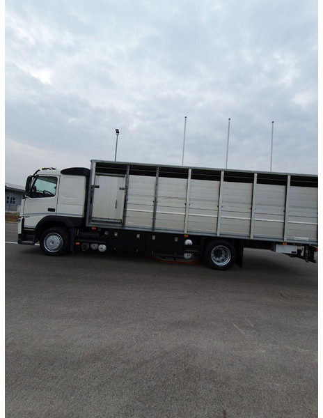 Volvo FM 500 Viehtransporter ( Rind / beef ) - Přepravník zvířat: obrázek 5 Volvo FM 500 Viehtransporter ( Rind / beef ) - Přepravník zvířat: obrázek 5