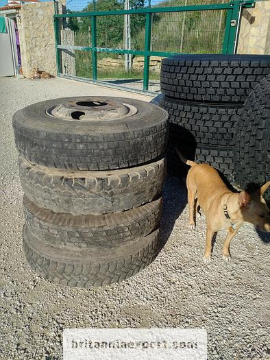 4 x used 7.50-16 LT tyres on 6 studs rims for Toyota Dyna 300 - Kompletní kolo: obrázek 3 4 x used 7.50-16 LT tyres on 6 studs rims for Toyota Dyna 300 - Kompletní kolo: obrázek 3