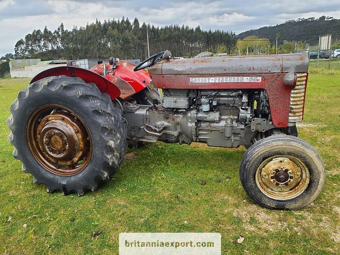 MASSEY FERGUSON 65 | 4 cylinder diesel | disc brakes - Traktor: obrázek 1 MASSEY FERGUSON 65 | 4 cylinder diesel | disc brakes - Traktor: obrázek 1