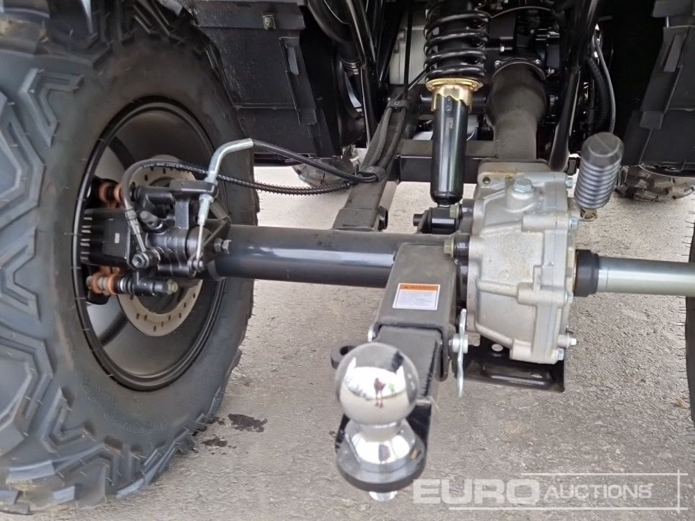 Čtyřkolka Unused TAO Motors TGA300F: obrázek 16