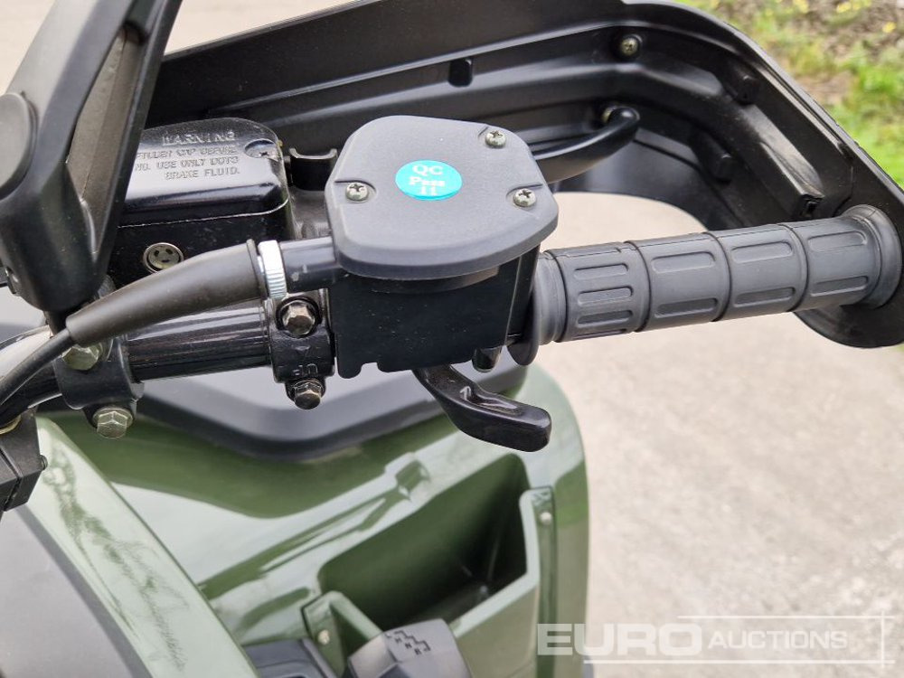 Čtyřkolka Unused TAO Motors TGA300F: obrázek 24