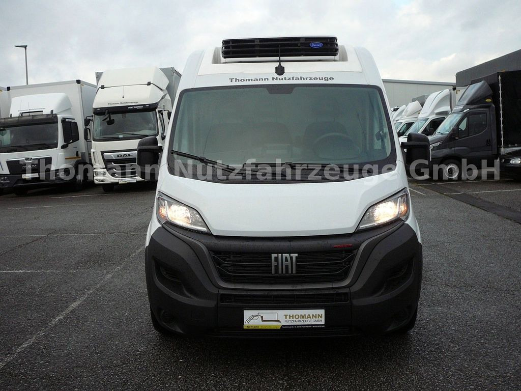 Fiat Ducato Kühlkasten L4/H2 Carrier Xarios 300GH - Chladící dodávka: obrázek 2 Fiat Ducato Kühlkasten L4/H2 Carrier Xarios 300GH - Chladící dodávka: obrázek 2