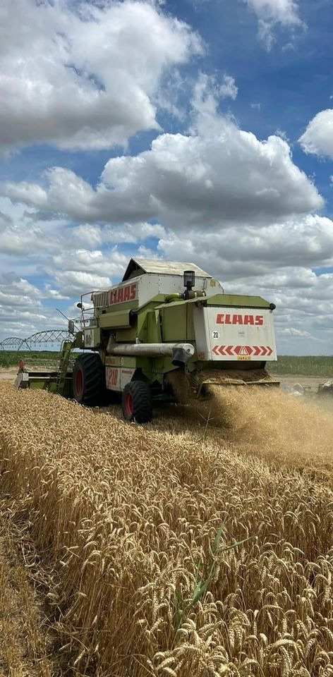 Claas MEGA 218 - Sklízecí mlátička: obrázek 5 Claas MEGA 218 - Sklízecí mlátička: obrázek 5