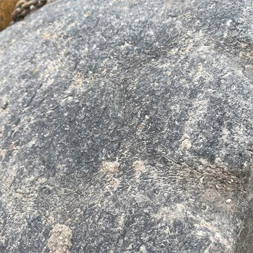 Liebherr L541 leasing Liebherr L541: obrázek 33