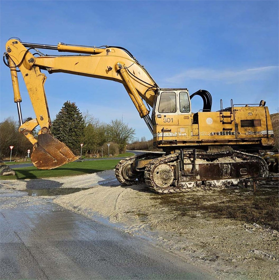 Liebherr R984 - Pásové rýpadlo: obrázek 2 Liebherr R984 - Pásové rýpadlo: obrázek 2