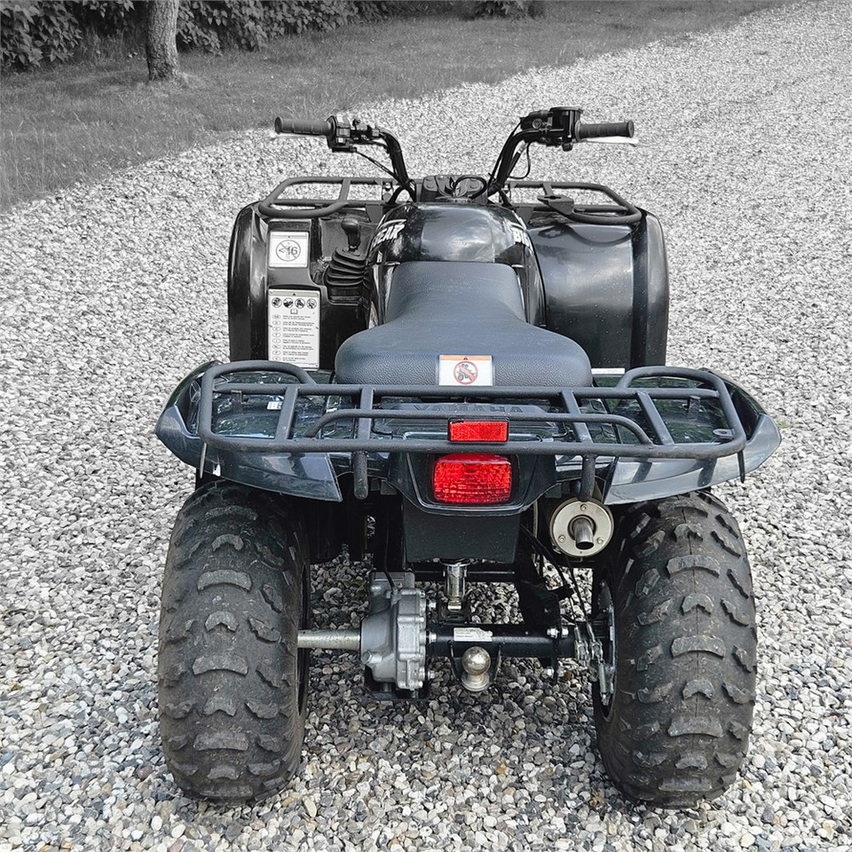 Yamaha YFM 250 - Čtyřkolka: obrázek 5 Yamaha YFM 250 - Čtyřkolka: obrázek 5